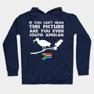 South Africa Hadeda Funny Alarm Hoodie